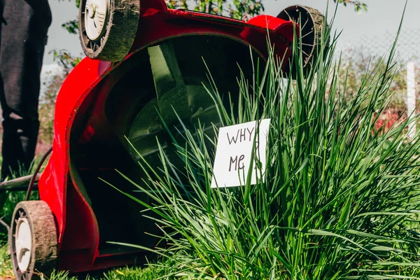 赤の芝刈機 — ストック写真