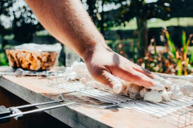 Mantarlı Brezilya mantarı