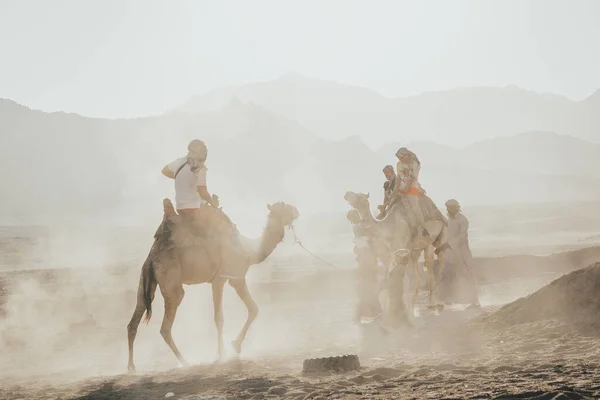 Une balade sur le chameau — Photo