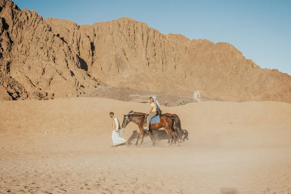 A ride on the horses — Stock Photo, Image