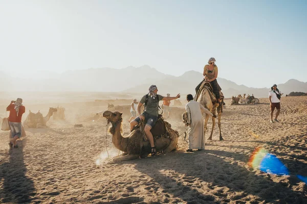 A ride on the camel — Stock Photo, Image