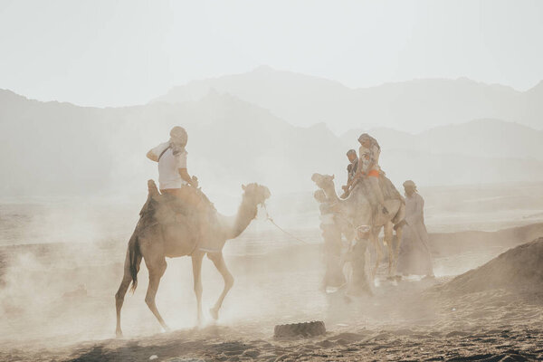 A ride on the camel — Stock Photo, Image