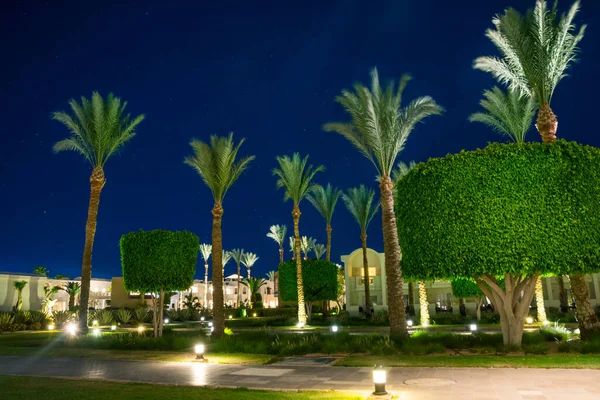 SHARM EL SHEIKH, EGYPT - 14 Mayıs 2019: otelin tatil yeri