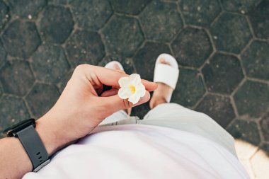 sarı egzotik çiçekler