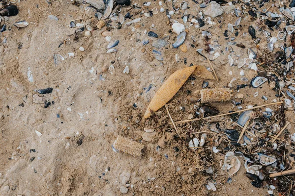 O problema do lixo na praia — Fotografia de Stock