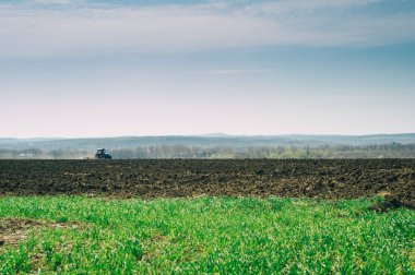 Traktör tarlayı sürüyor 
