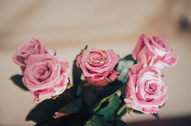 Güllerdeki alyanslar 