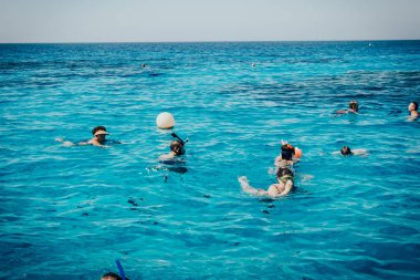 Maskeli insanlar kızıl denizde yüzer.