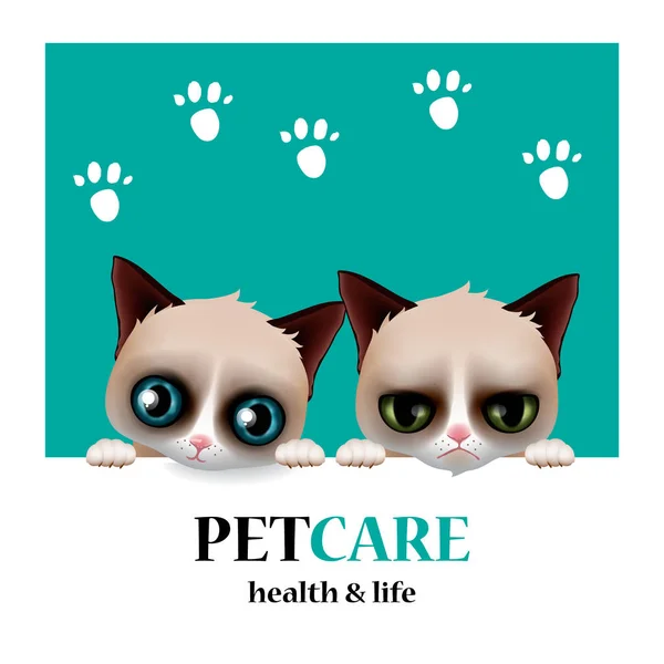 Service de soins pour animaux, logo de l'animalerie, santé et vie, conception de chat, illustration vectorielle . — Image vectorielle