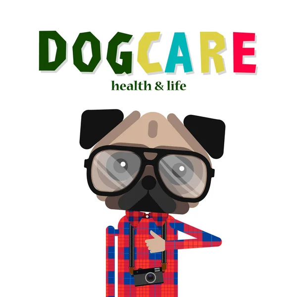 Conception de concept de soins pour chiens, animalerie, magasin de chiens, illustration vectorielle . — Image vectorielle