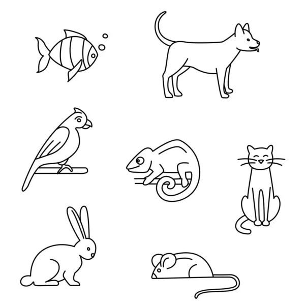 Animaux de compagnie chiens, chats, oiseaux, lapins, perroquets, poissons, souris, caméléons — Image vectorielle