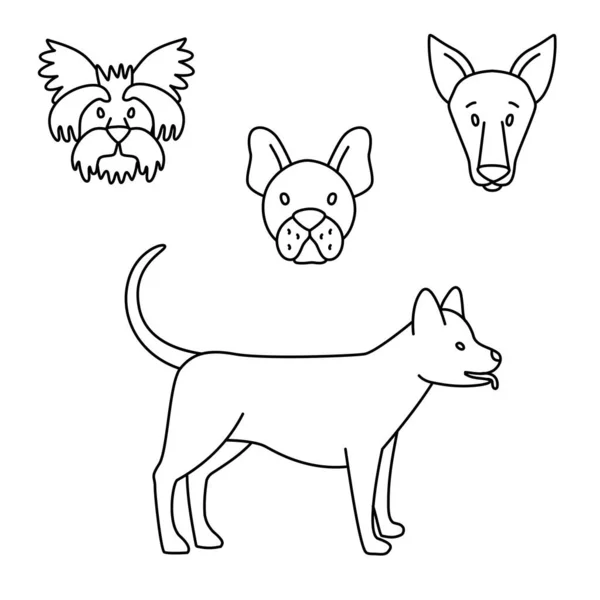 Raças de cães definir preto e branco. Doodles de ilustração vetorial — Vetor de Stock