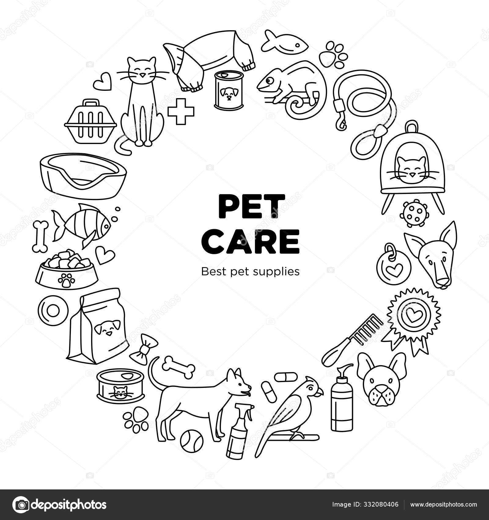 Pet Shop Store Drawing