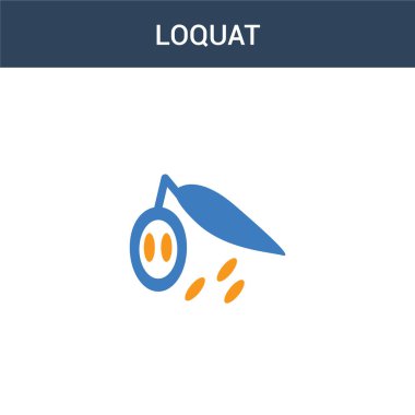 İki renkli Loquat konsept vektör simgesi. 2 renk Loquat vektör çizimi. Beyaz arkaplanda izole edilmiş mavi ve turuncu epinefrin simgesi.