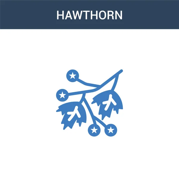 Dos Color Hawthorn Concepto Vector Icono Color Hawthorn Vector Ilustración — Vector de stock