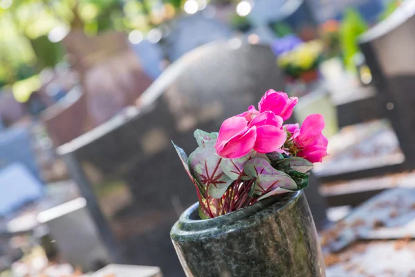 Blomster på en kirkegård med gravsten i baggrunden - Stock-foto