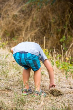 doğa orman sınırındaki keşfetmek çocuk