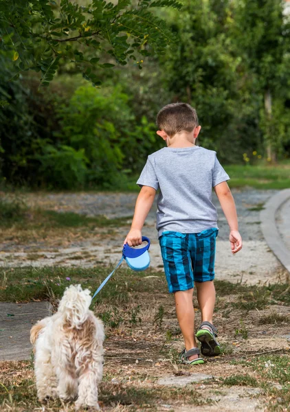 Dziecko, chodzenie jego pies na smyczy w okolicy — Zdjęcie stockowe