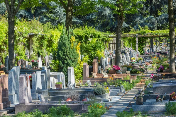 Blommor i en kyrkogården med gravstenar i bakgrunden — Stockfoto
