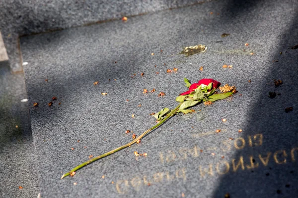 Dried rose on a grave — Stock Photo, Image