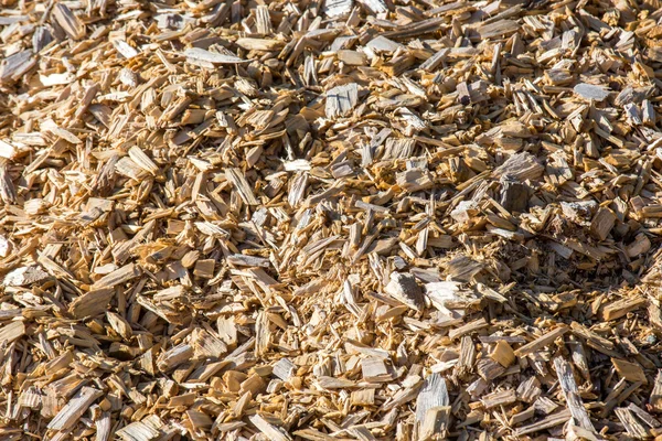 Houtsnippers voor een biomassa verbranding — Stockfoto