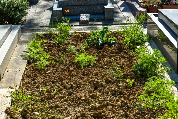 Plot of land in a cemetery to a new grave — Stock Photo, Image