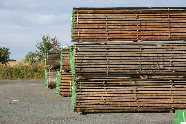 Oak planks cut after transformation — Stock Photo, Image
