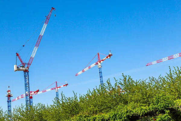 Grúas de construcción utilizadas para la construcción — Foto de Stock