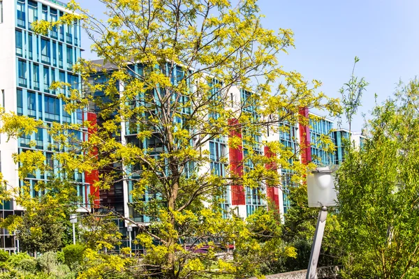 Yakındaki ağaçları ile süslenmiş büyük cam bina — Stok fotoğraf