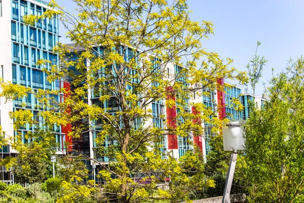 Immense bâtiment en verre orné d'arbres à proximité — Photo