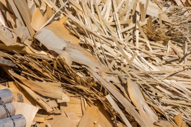 işlenmiş ahşap atık ve talaş