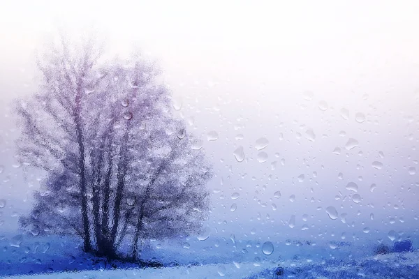 Vista del paesaggio invernale attraverso il vetro della finestra ghiacciata scattata con il freddo dall'interno dell'edificio — Foto Stock