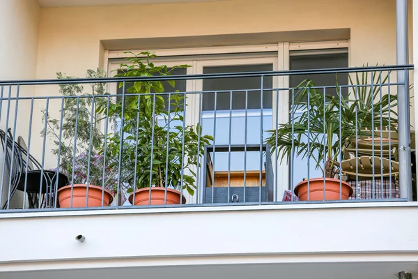 Balcony with green plants — Stock Photo, Image
