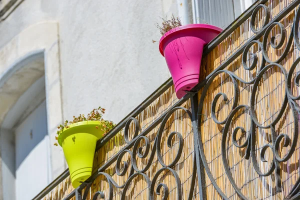 Colorful pots with flowers outdoors — Stock Photo, Image