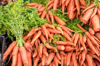 Belgili tanımlık bakkal stok içinde taze havuç