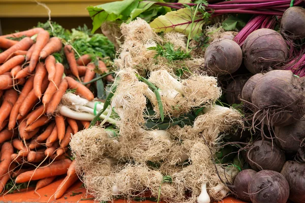 Variety of fresh organic vegetables — Stock Photo, Image
