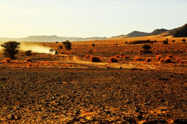 yoldan bu arabayla Fas'ta pilot