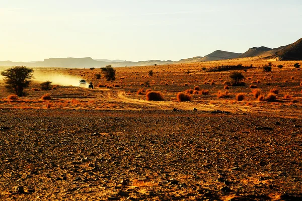 Coche todoterreno con su piloto en Marruecos — Foto de Stock