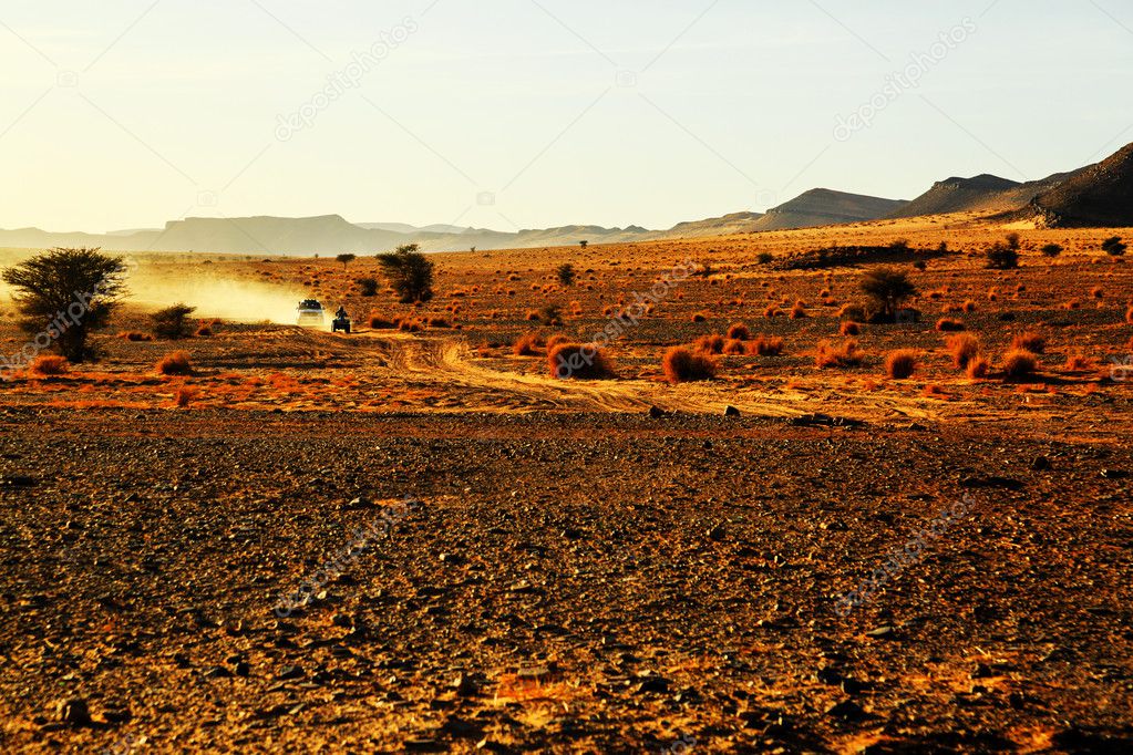 off road car with it's pilot in Morocco