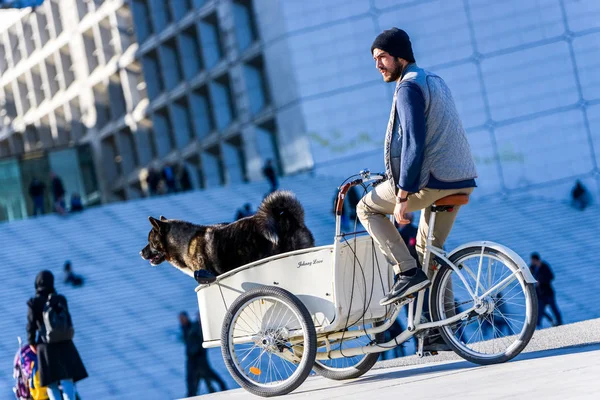 La defense, Francia - 09 de abril de 2014: Montado en un triciclo con su perro en la ciudad. Transporte ecológico limpio alternativo en una ciudad — Foto de Stock