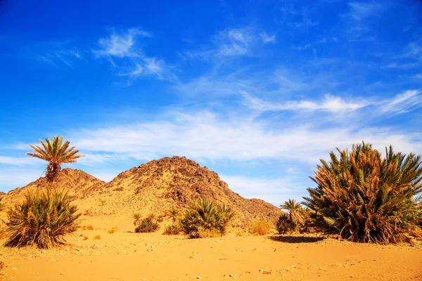 Hermoso paisaje de montaña marroquí en el desierto con oasis — Foto de Stock