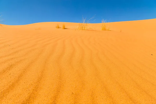 Sahra Çölü 'ndeki kum tepeleri, Merzouga, Fas — Stok fotoğraf