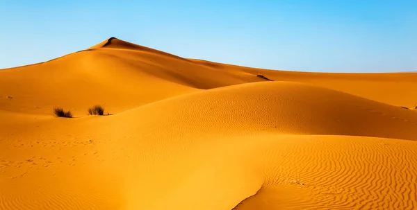 Dunas de areia no deserto do Saara, Merzouga, Marrocos — Fotografia de Stock