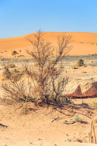 Wunderschöne marokkanische Berglandschaft mit trockenen Sträuchern im Vordergrund — Stockfoto