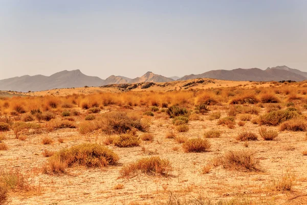 Wunderschöne marokkanische Berglandschaft mit trockenen Sträuchern im Vordergrund — Stockfoto