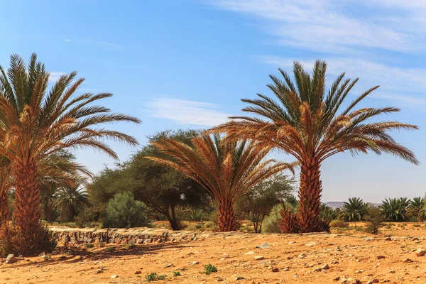 Linda paisagem montanhosa marroquina no deserto com oásis — Fotografia de Stock