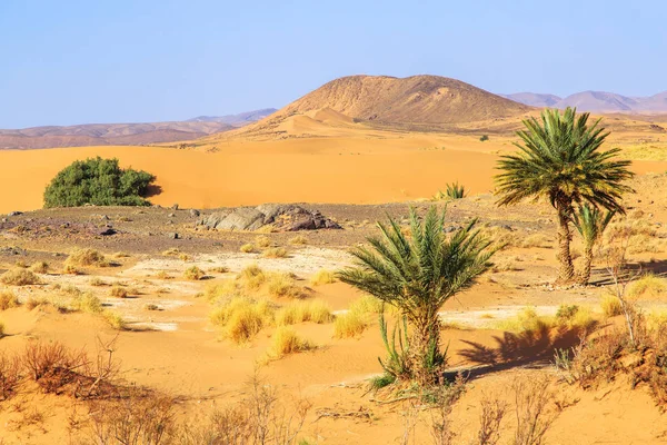 Hermoso paisaje de montaña marroquí en el desierto con oasis — Foto de Stock