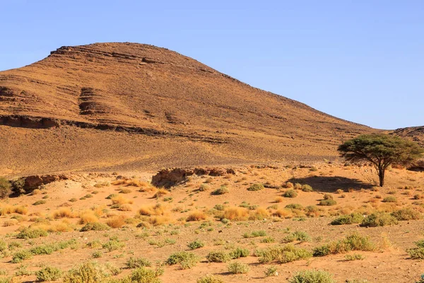 Gyönyörű marokkói hegyvidéki táj a sivatagban kék ég — Stock Fotó