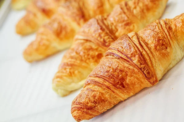 Closeup on croissants with butter in french pastry shop — Stock Photo, Image