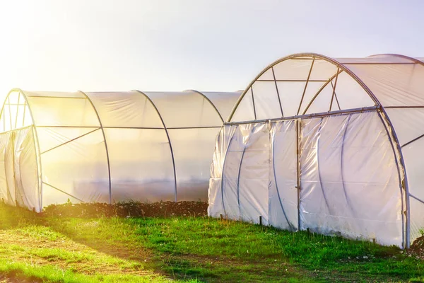 Sunset on outside view of greenhouse — Stock Photo, Image